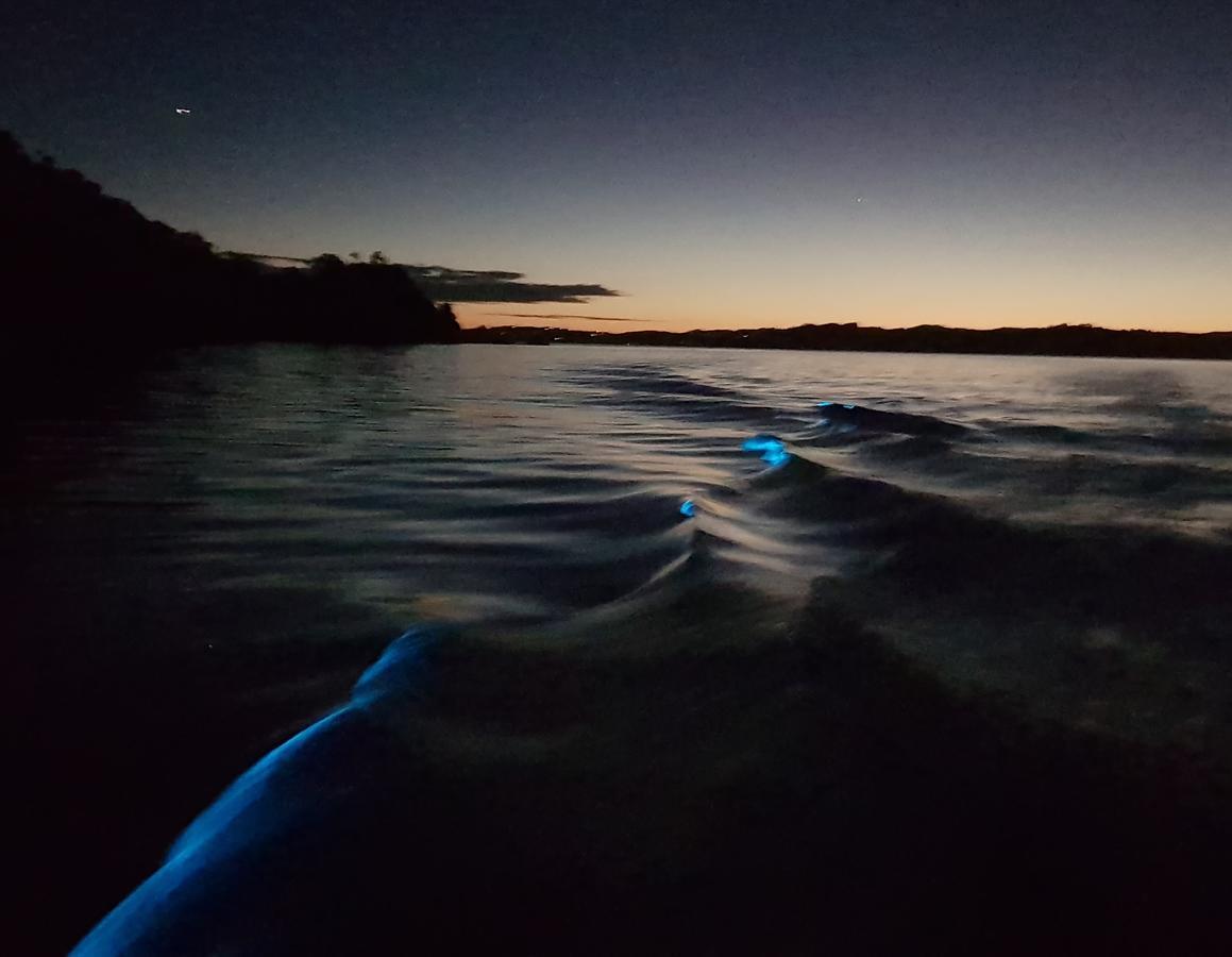 The Beach House Kawau Island ภายนอก รูปภาพ